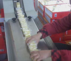 片裝整理機(jī)與包裝機(jī) 機(jī)電設(shè)備安裝的關(guān)鍵環(huán)節(jié)與實(shí)施要點(diǎn)