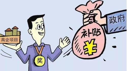 西安高企實力認證與政策紅利 專業(yè)精神驅動技術推廣新篇章